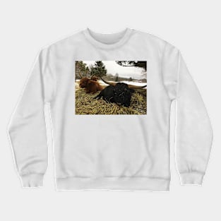 Scottish Highland Cattle Cow and Bull 2284 Crewneck Sweatshirt